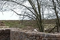 Soil-covered bank.